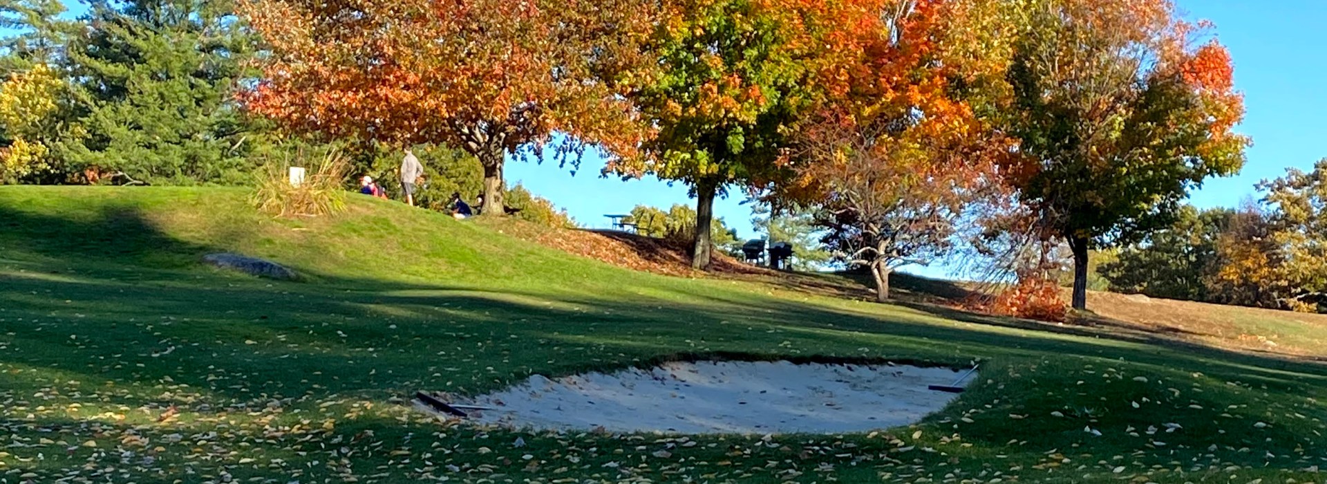 Orange Trees on golf course