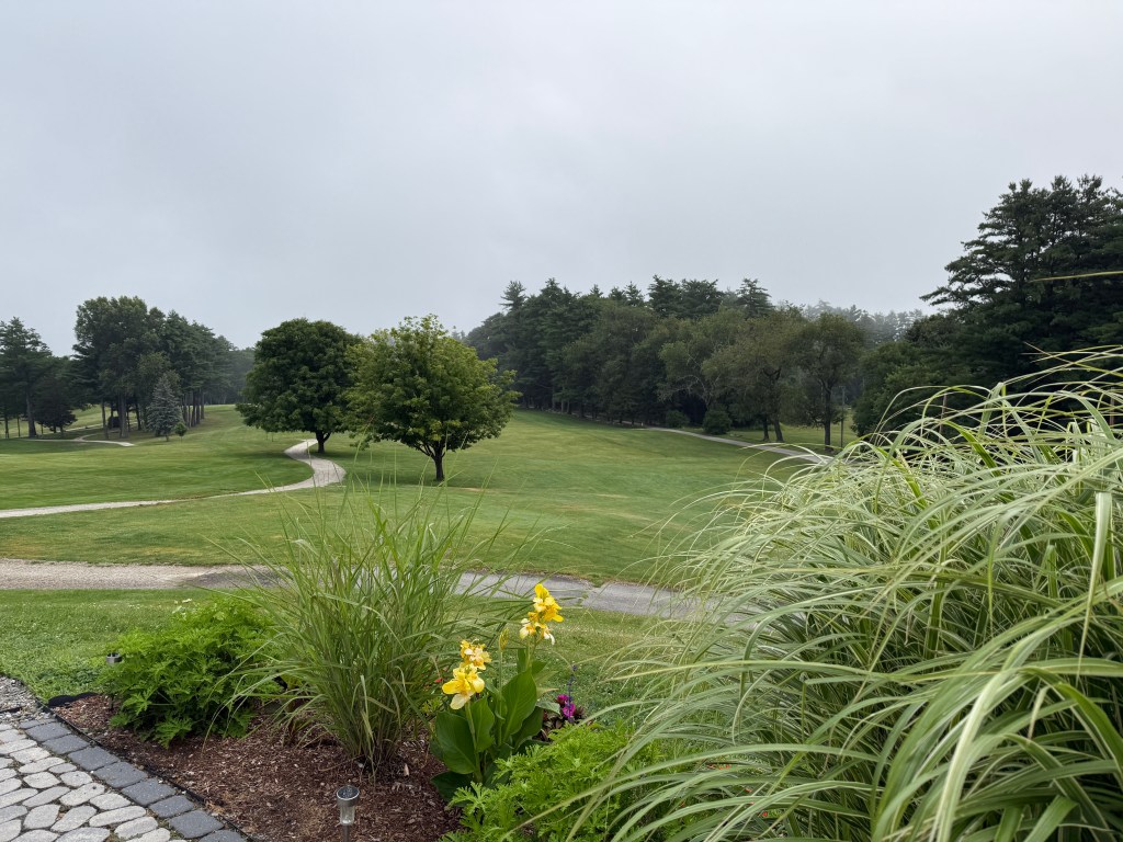 Trees on golf course with cart path